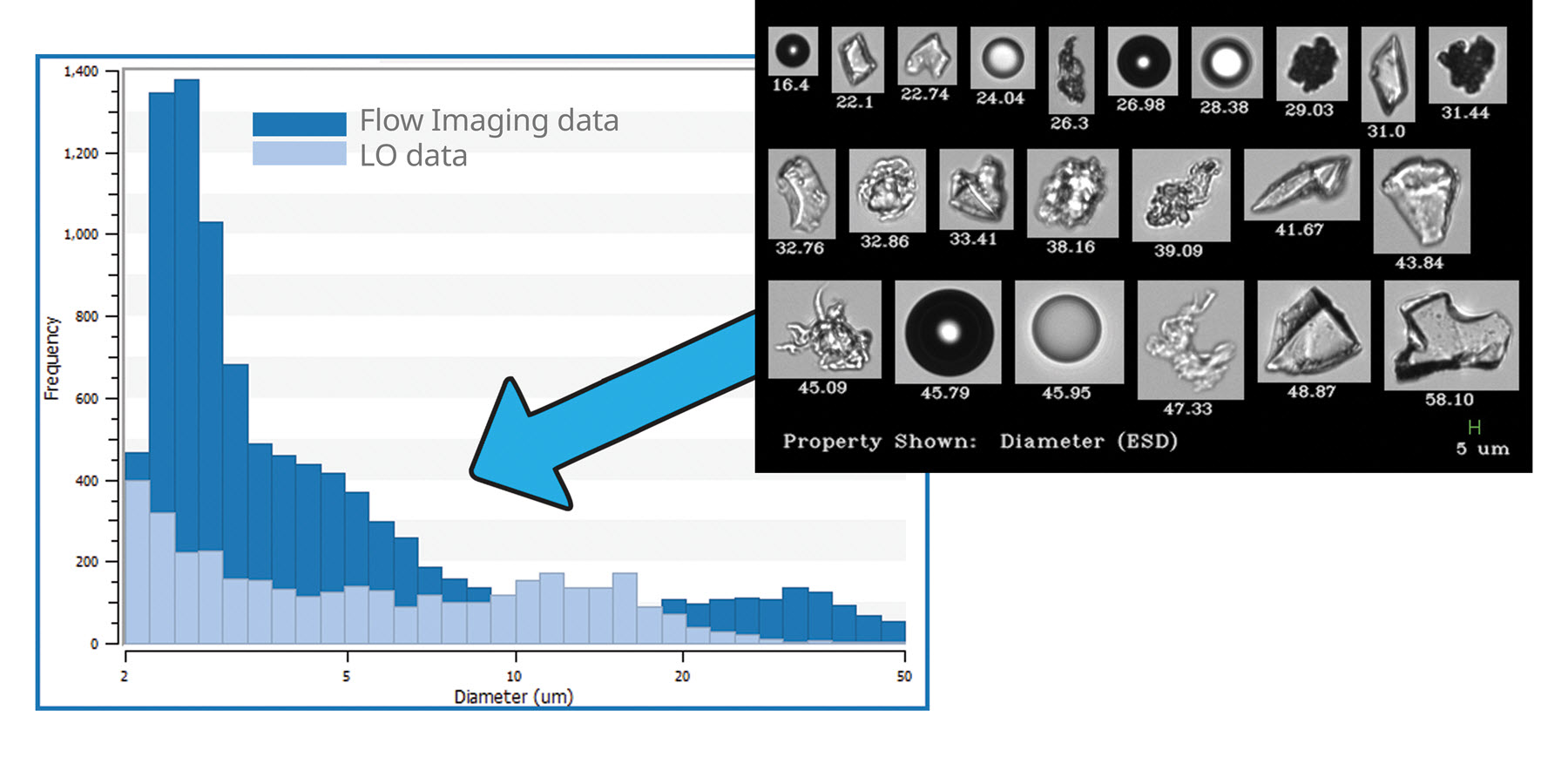 Measuring Subvisible Particles and Aggregates Using FlowCam LO